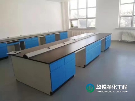 實(shí)驗(yàn)室凈化~潔凈實(shí)驗(yàn)室建設(shè)施工要點(diǎn)選擇華銳凈化的優(yōu)勢(shì)